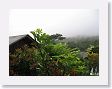Arenal - 48 * Our volcano view room's view * Our volcano view room's view